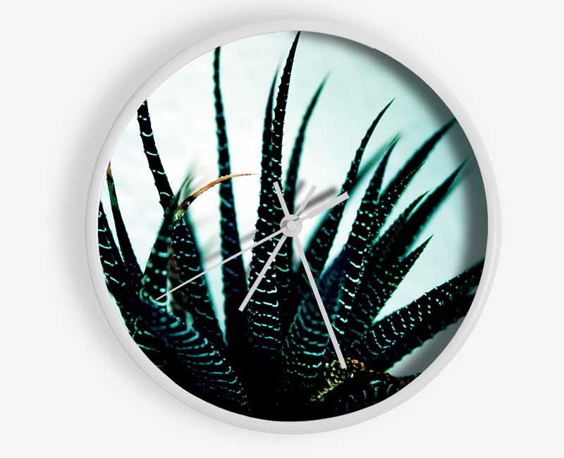 Sea Urchin Clock - Wallart-Direct UK