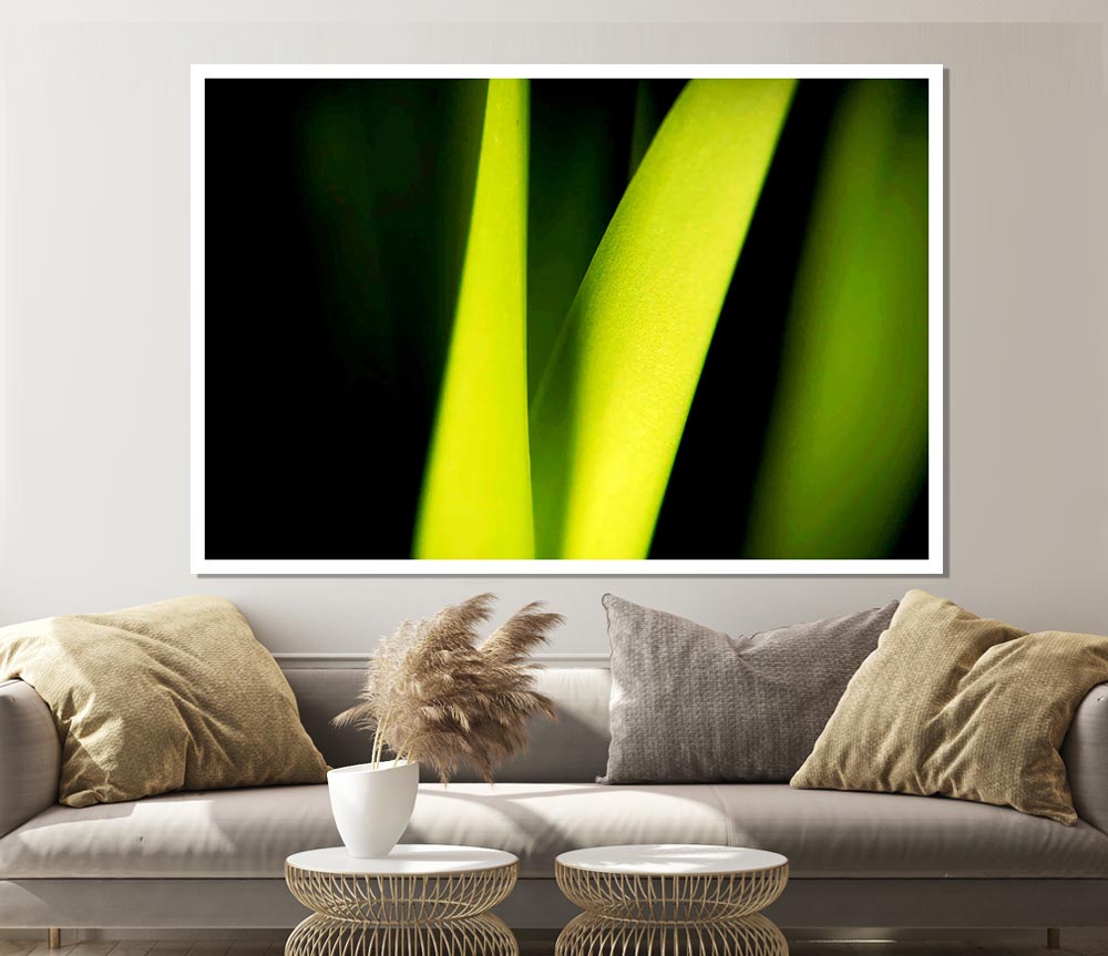 Green Leaf Shine Print Poster Wall Art