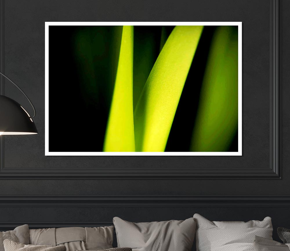 Green Leaf Shine Print Poster Wall Art