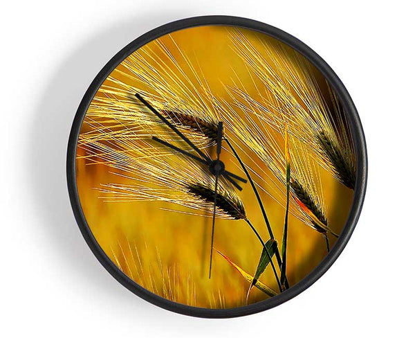 Wheat In The Golden Sunlight Clock - Wallart-Direct UK