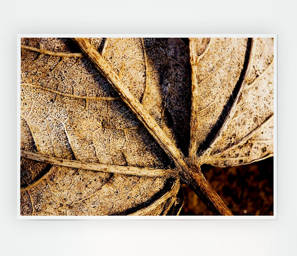 The Life Of A Leaf Chocolate Print Poster Wall Art