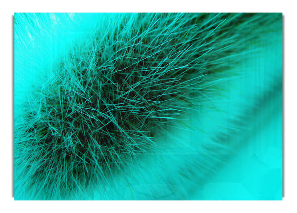 Green Fur