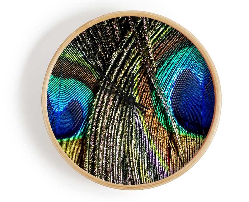 Peacock Feather Duo Clock - Wallart-Direct UK