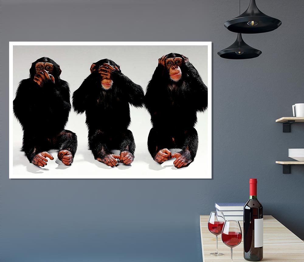 Three Wise Monkeys Print Poster Wall Art