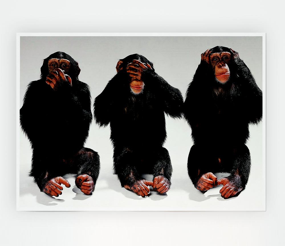 Three Wise Monkeys Print Poster Wall Art