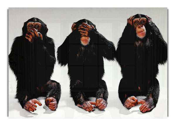 Three Wise Monkeys