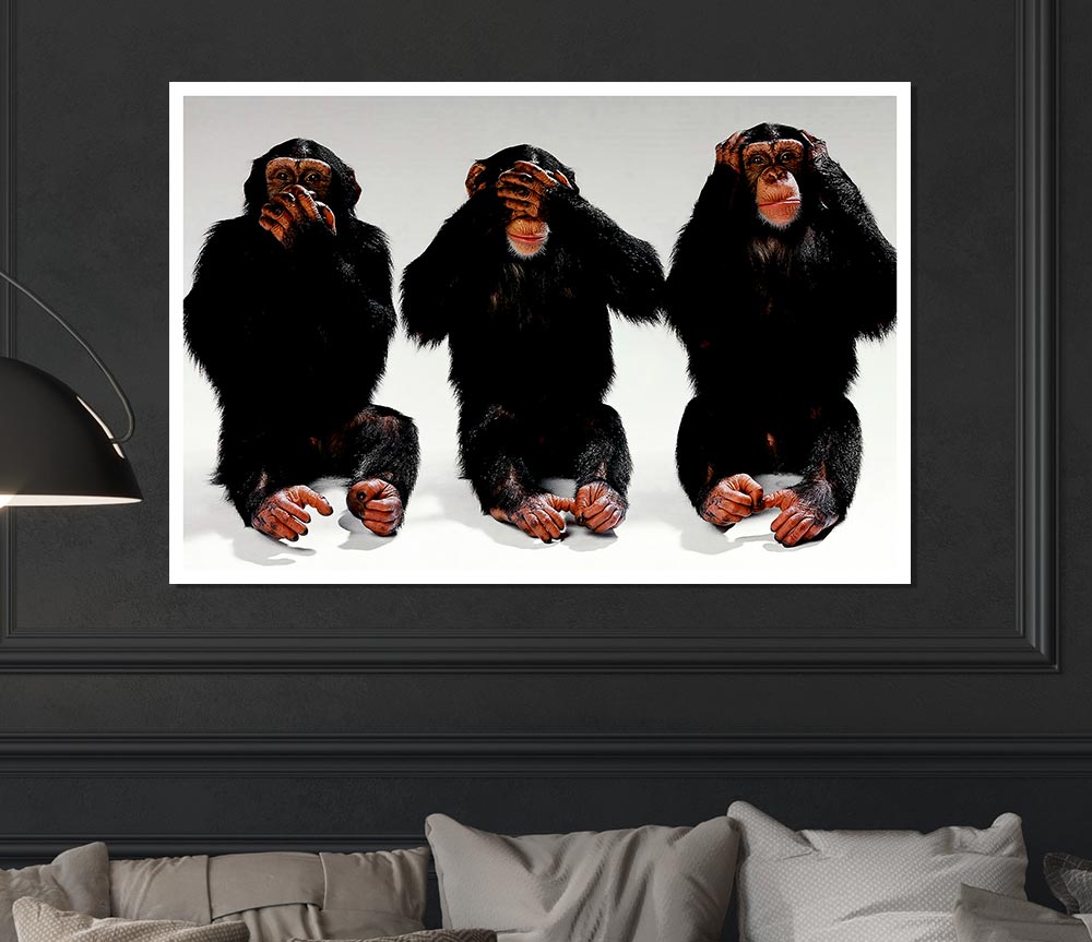 Three Wise Monkeys Print Poster Wall Art