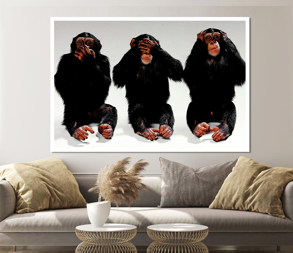 Three Wise Monkeys Print Poster Wall Art