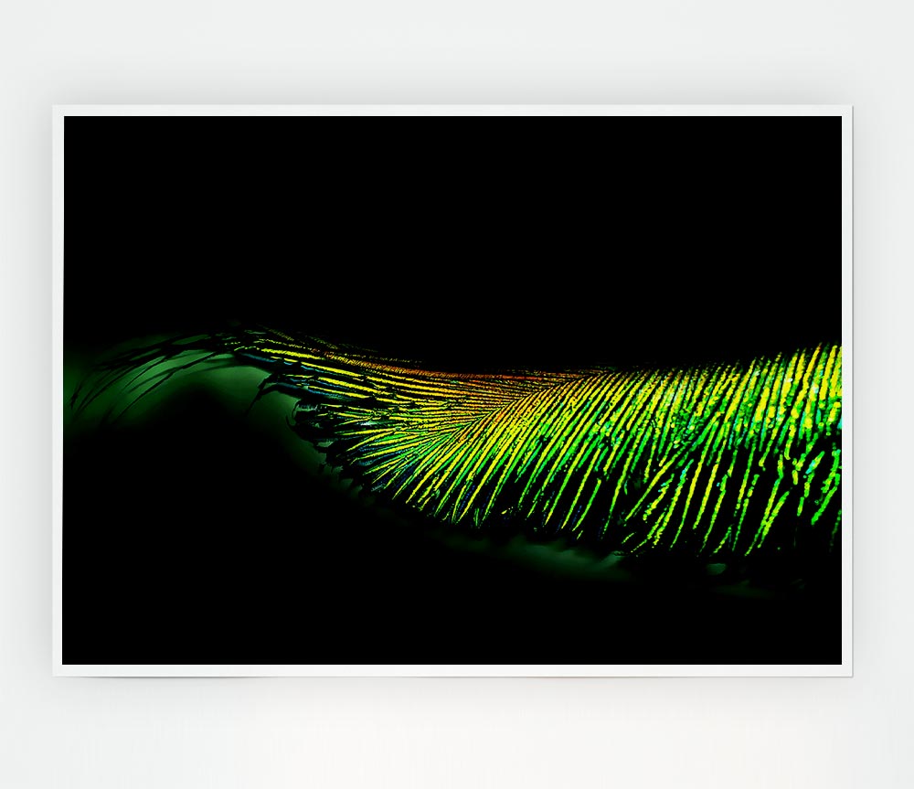 Vibrant Green Feather Print Poster Wall Art