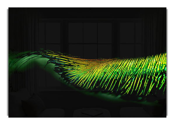 Peacock Feather 02