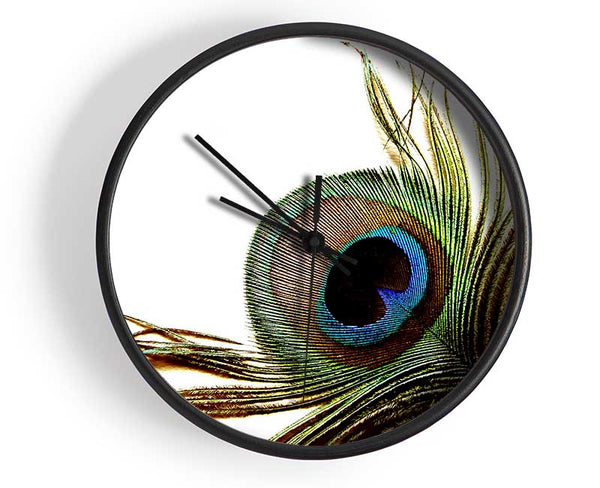 Peacock Feather Close-Up Clock - Wallart-Direct UK