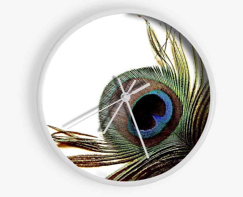 Peacock Feather Close-Up Clock - Wallart-Direct UK