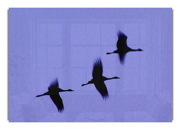 Gänse Trio im Flug Lila