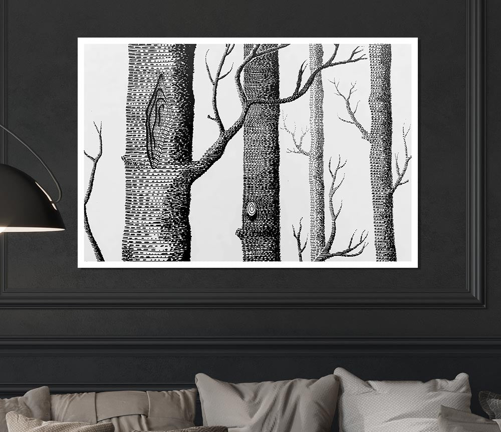 Black And White Tree Trunks Print Poster Wall Art