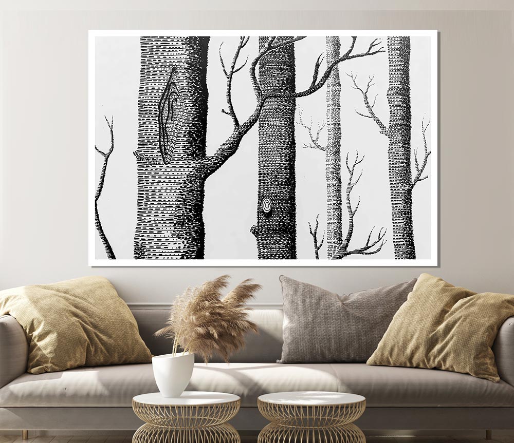 Black And White Tree Trunks Print Poster Wall Art