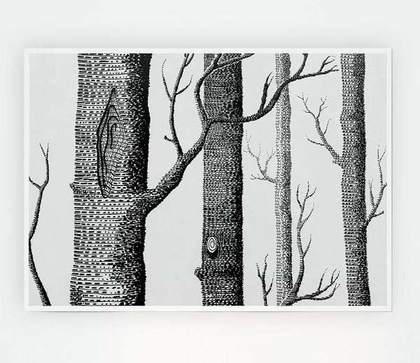 Black And White Tree Trunks Print Poster Wall Art