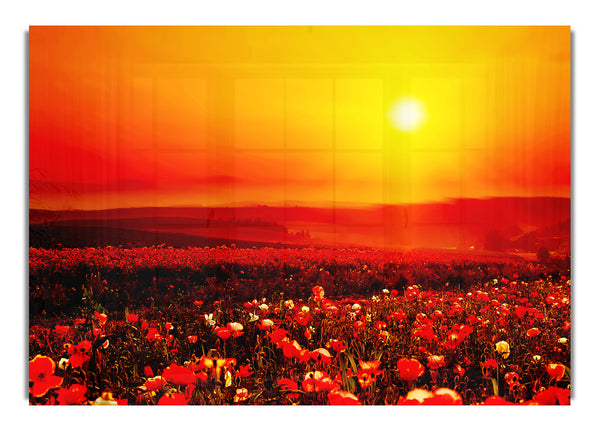 Poppy Field Mist