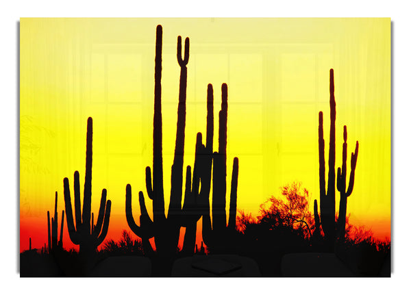 Desert Cactus Sunrise