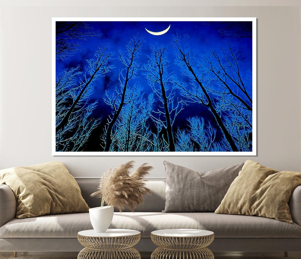 Forest By Moonlight Print Poster Wall Art