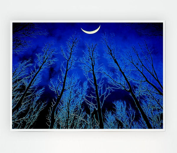 Forest By Moonlight Print Poster Wall Art