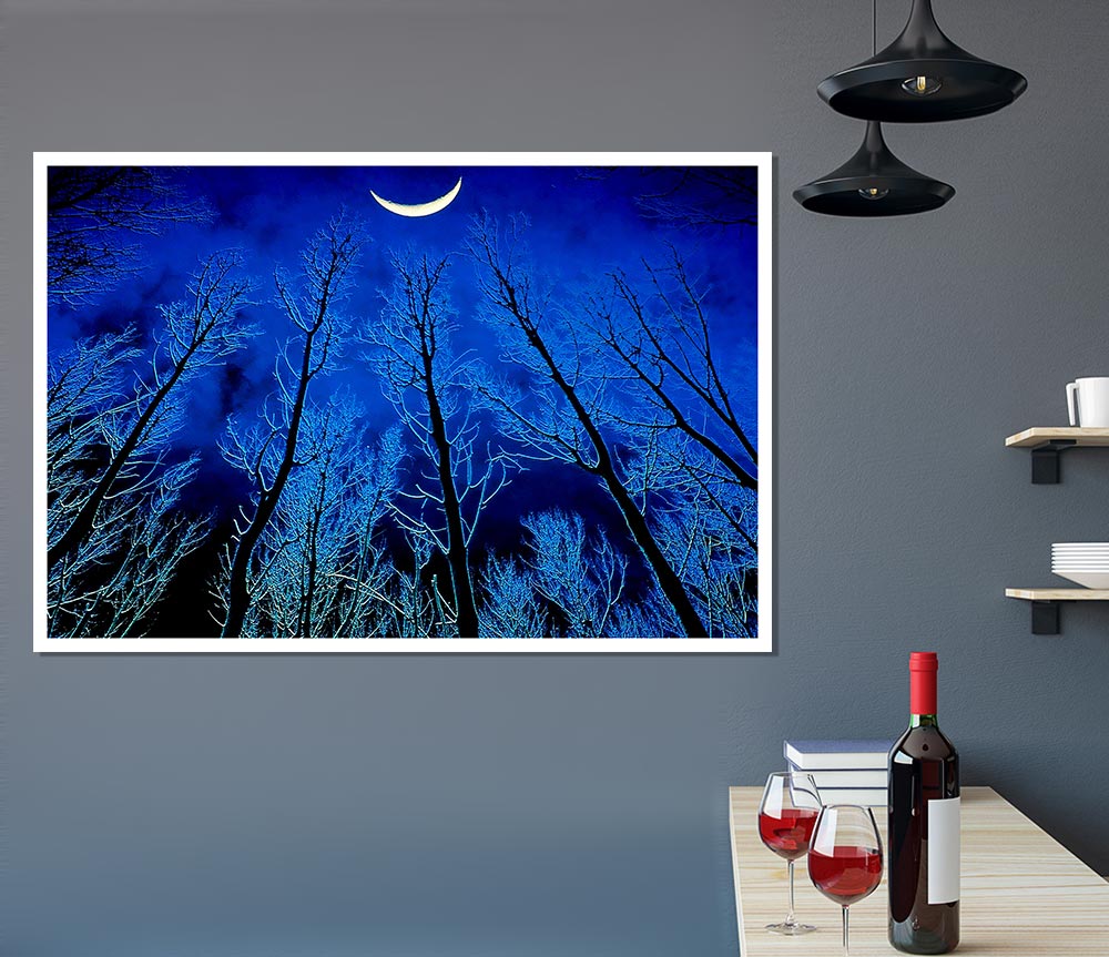 Forest By Moonlight Print Poster Wall Art