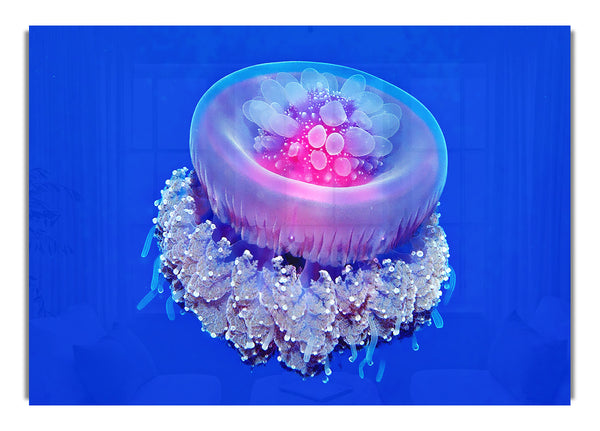 Neon Jellyfish