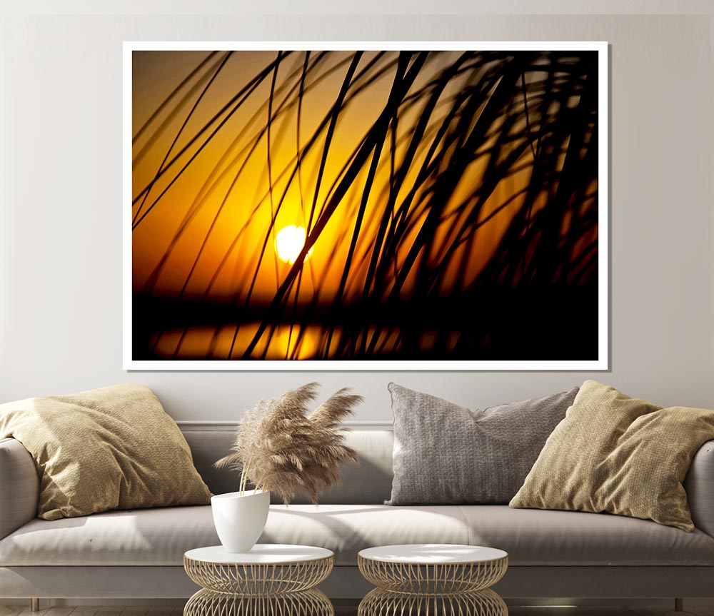 Golden Sun Through The Reeds Print Poster Wall Art