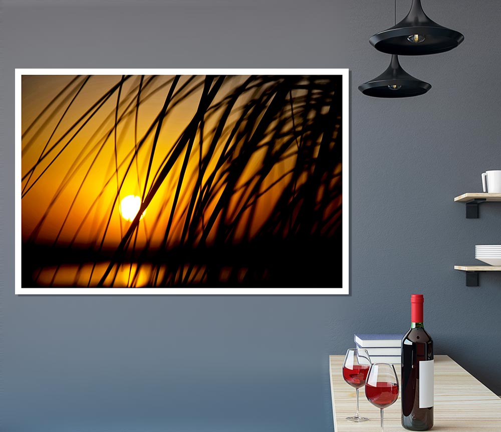 Golden Sun Through The Reeds Print Poster Wall Art