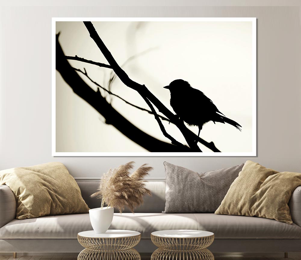 Birds Pirch Print Poster Wall Art