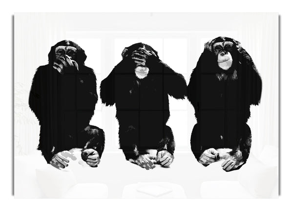 Speak No Evil See No Evil Hear No Evil