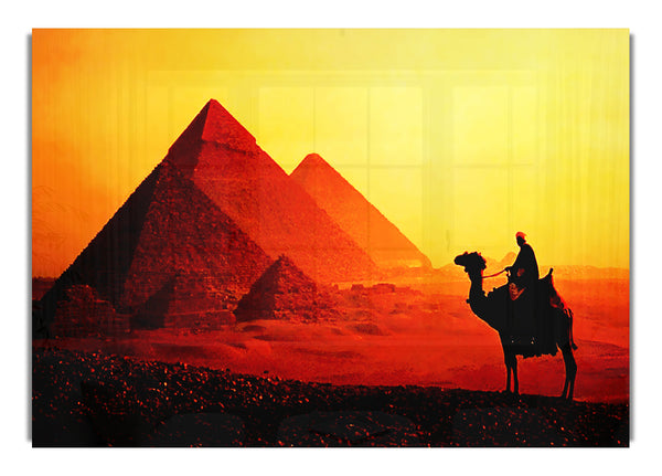 Camel Pyramid Ride