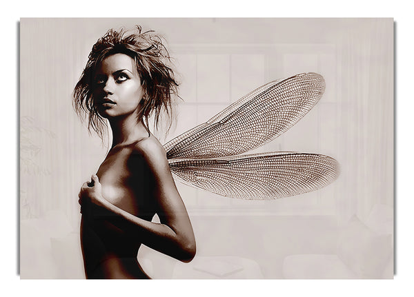 Exotic Fairy Wings Modern Canvasb L