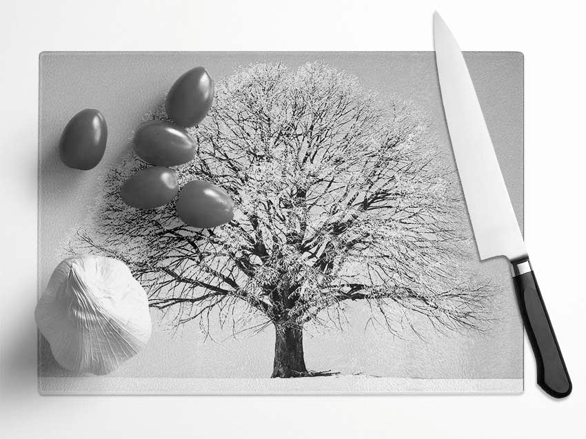 Winter Snow Tree B n W Glass Chopping Board