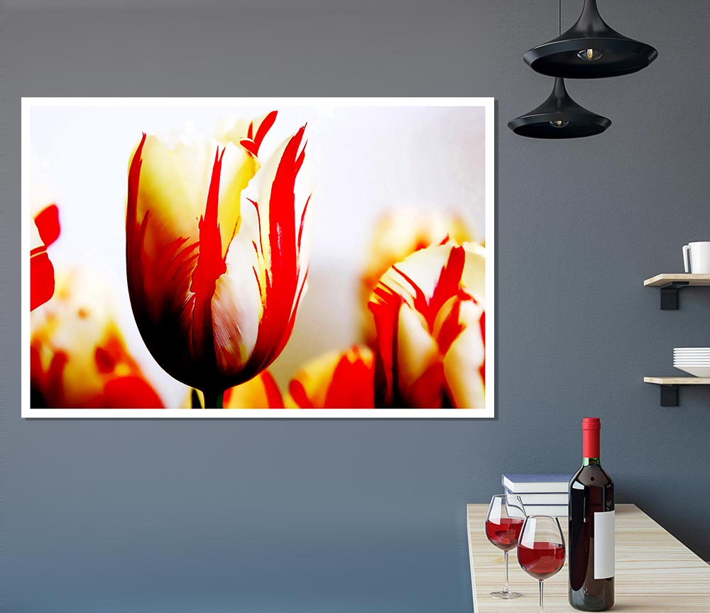 Tulip Heads Print Poster Wall Art