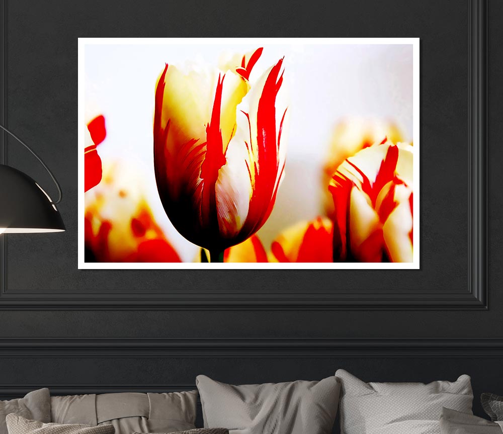 Tulip Heads Print Poster Wall Art