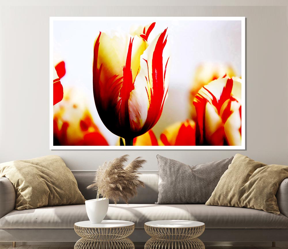 Tulip Heads Print Poster Wall Art