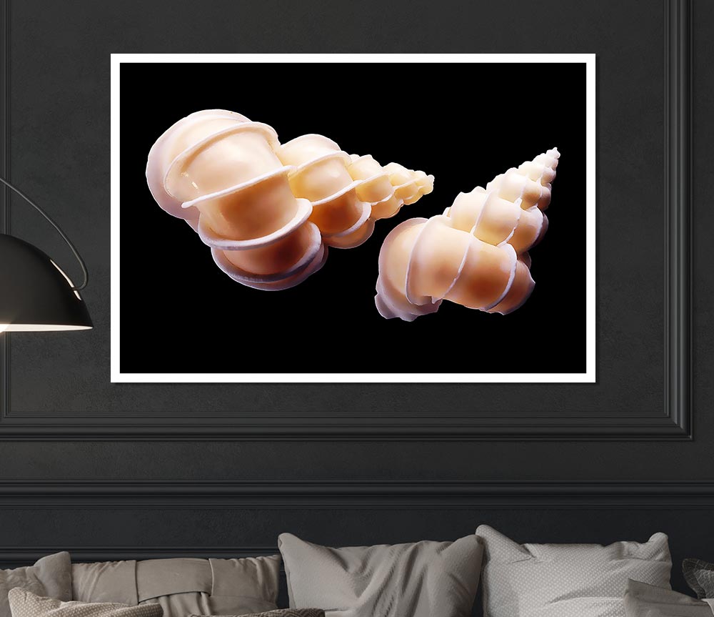 Beautiful Shell Duo Print Poster Wall Art