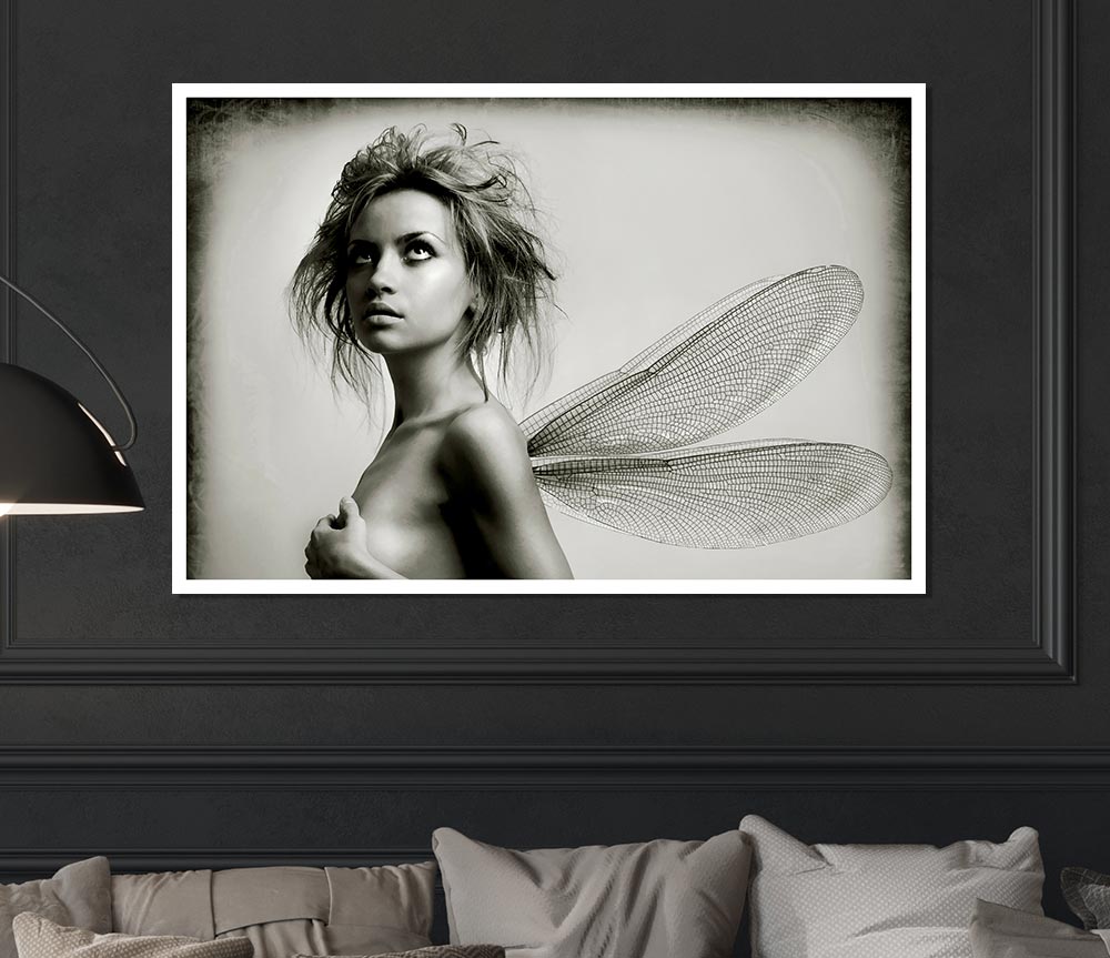 Exotic Fairy Wings Close Up Print Poster Wall Art