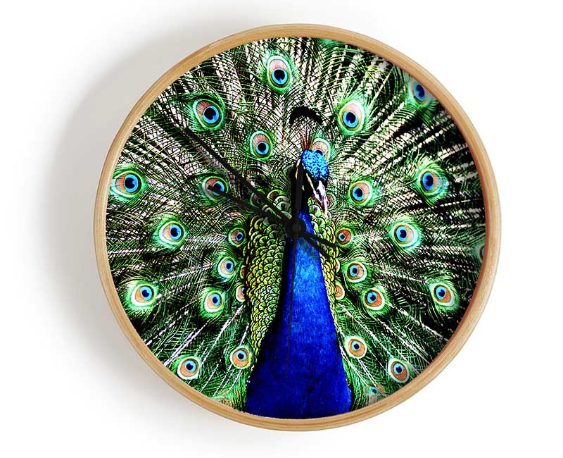 Stunning Peacock Feathers Clock - Wallart-Direct UK