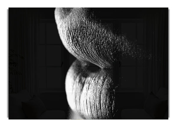 Sensual Lips B~w