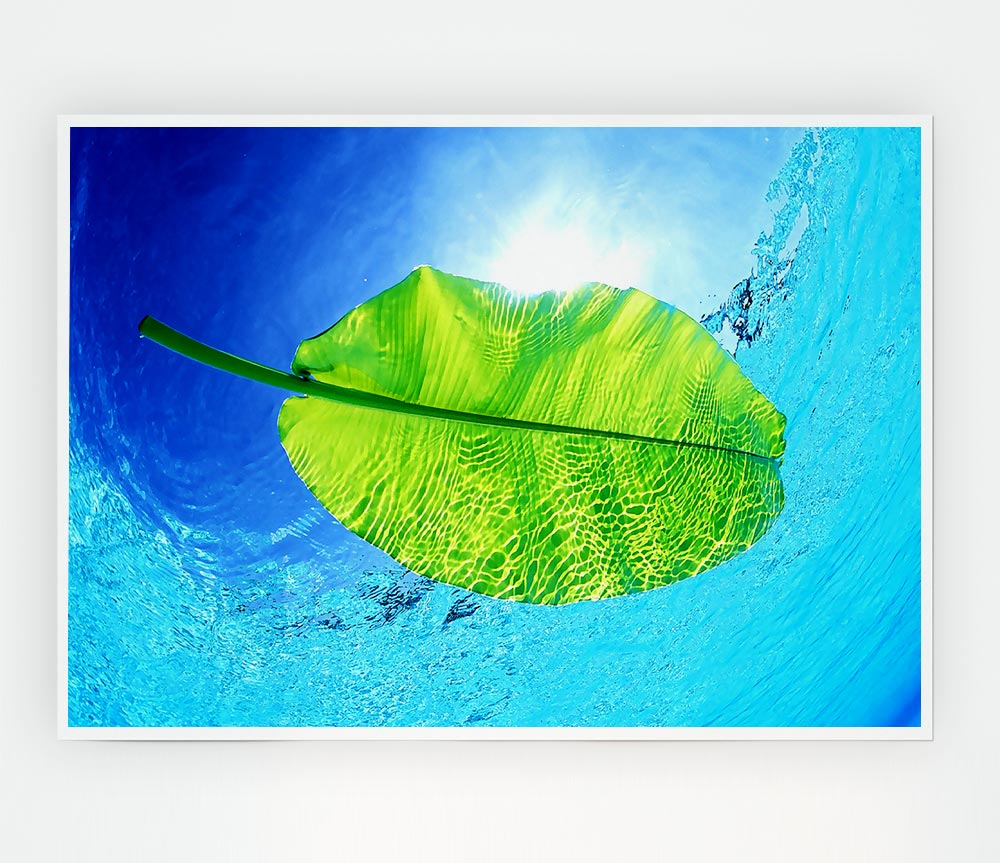 Blue Waters Of A Green Leaf Print Poster Wall Art