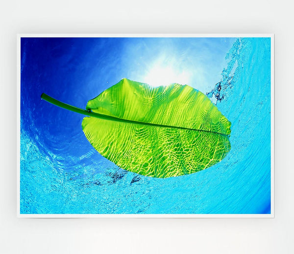 Blue Waters Of A Green Leaf Print Poster Wall Art