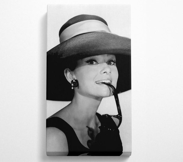 Audrey Hepburn Hat