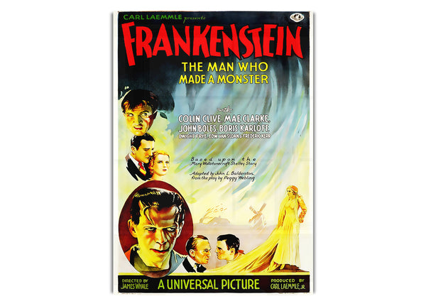 Frankenstein The Man Who Made A Monster