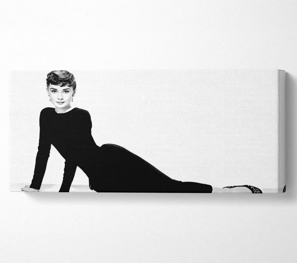 Audrey Hepburn Cat Suit