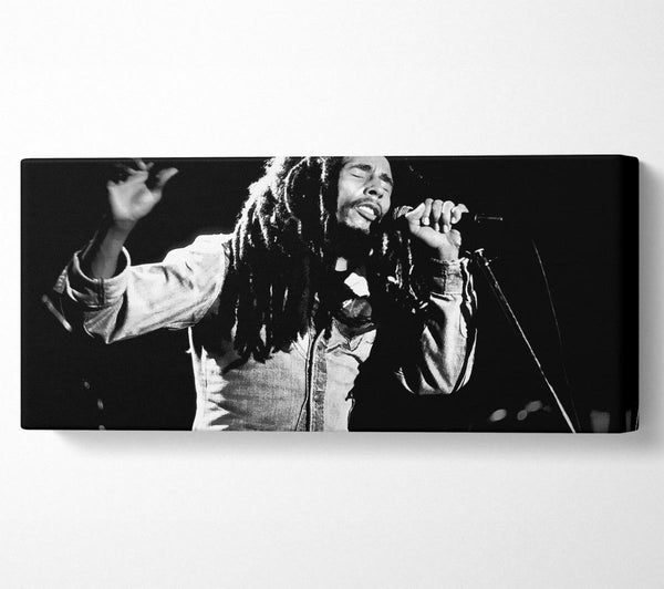 Bob Marley On Stage Singing B n W