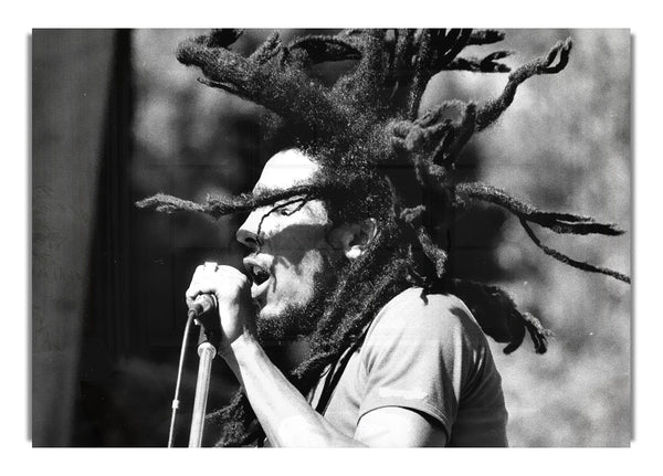 Bob Marley On Stage