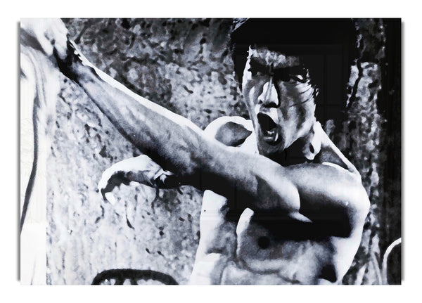 Bruce Lee Fist Of Power