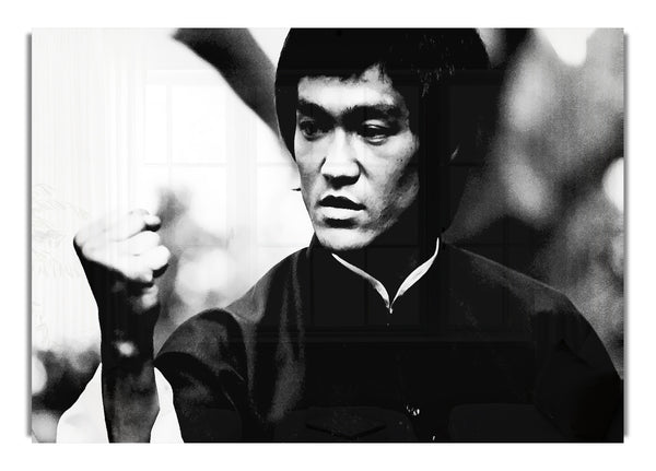 Bruce Lee Power Of One