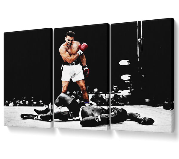 Muhammad Ali Knock Down